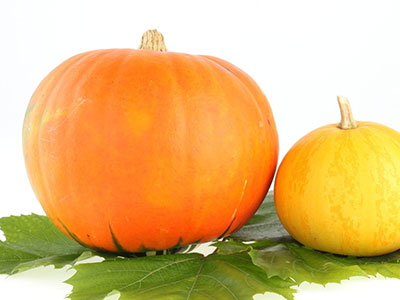 秋季糖尿病人可以適量地吃南瓜