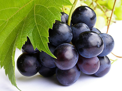糖尿病患者能不能多吃葡萄？